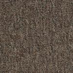 Speedster – Brindle