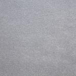 Elanus Gray