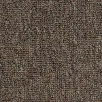 Titanium – Brindle