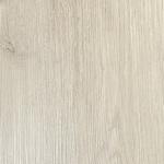 Caspian Gum