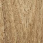 Kauri