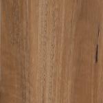 Tasman Oak